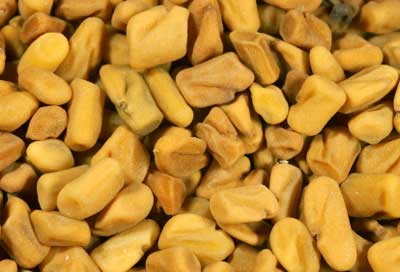 Manufacturers Exporters and Wholesale Suppliers of Fenugreek Seeds Khari baoli Delhi